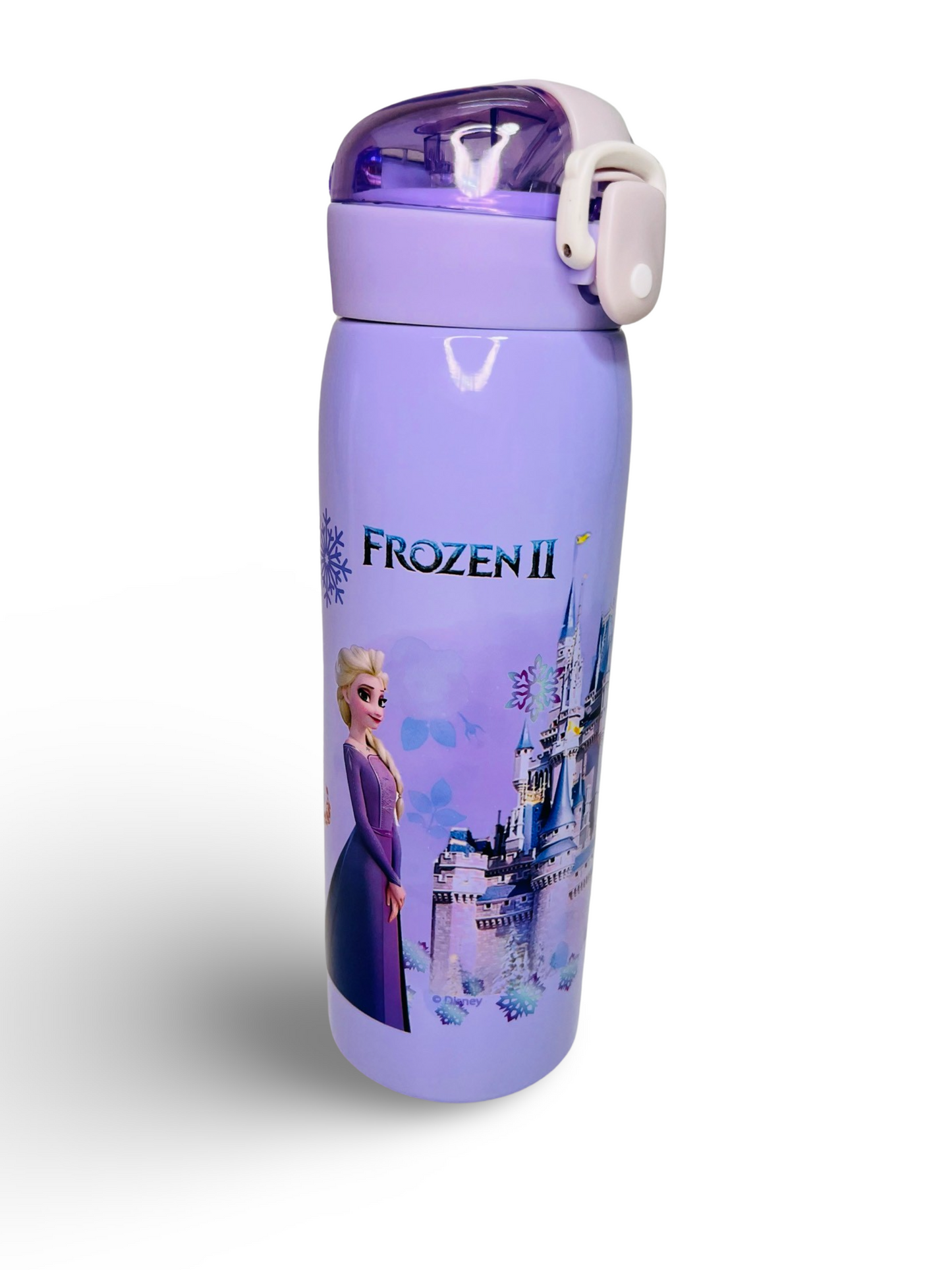 Avenger & Frozen Theme Stainless Steel Water Bottle for Kids (500ml)